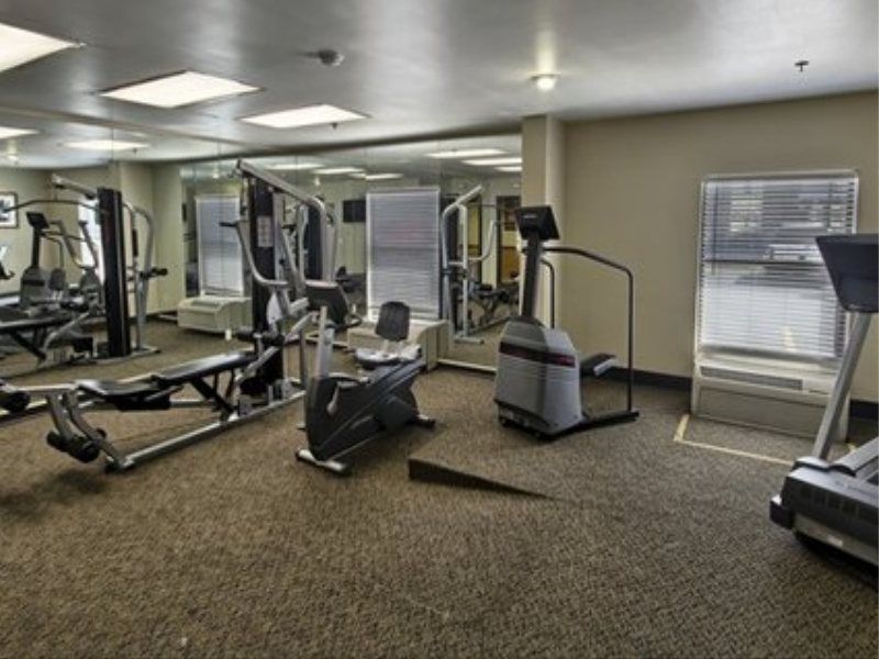 באטון רוז' Comfort Inn University Area מראה חיצוני תמונה