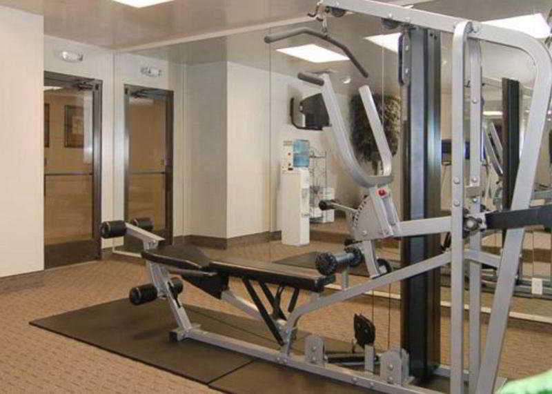 באטון רוז' Comfort Inn University Area מראה חיצוני תמונה
